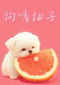 狗啃柚子西u