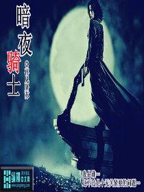 暗夜骑士贸易有限公司
