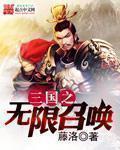 三国之无限召唤刘边