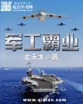 军工霸业安溪柚