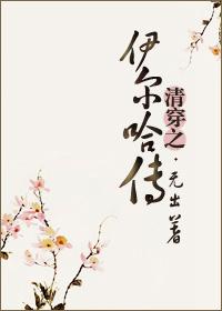 清穿伊尔迷