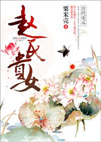 赵氏妃子