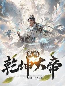紫微大帝的功法是什么