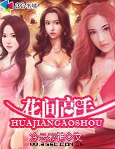 天才高手在都市人物简介