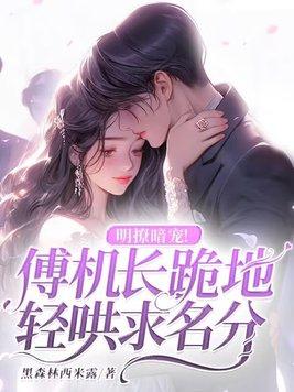 明撩暗宠傅机长跪地轻哄求名分