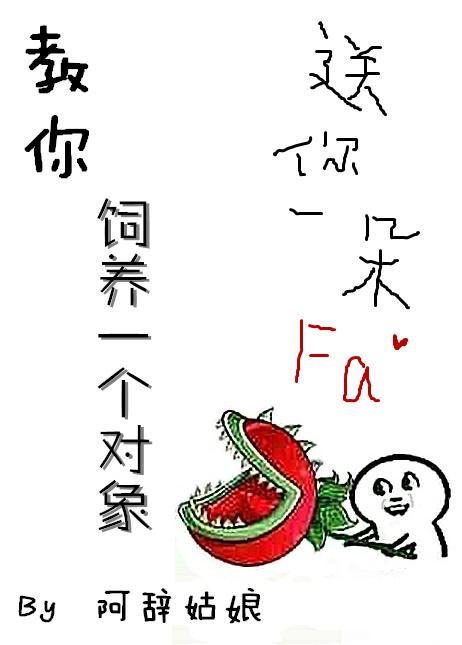 教你饲养一个对象的书