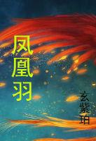 凤凰羽毛图案
