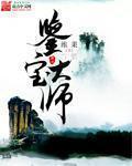 鉴宝大师叶天