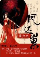 女主被称为大胸的