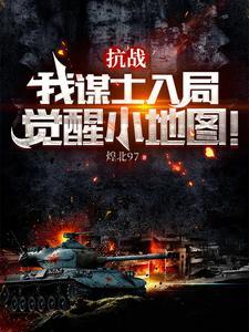 觉醒小地图!免费阅读