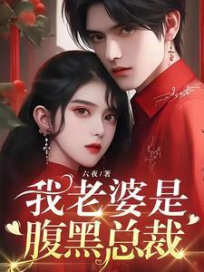 我老婆是腹黑总裁六夜