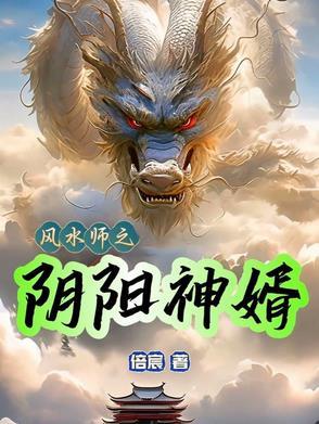 阴阳风水师阴正阳笔趣阁