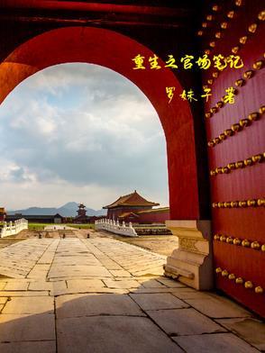 重生之官场笔记徐