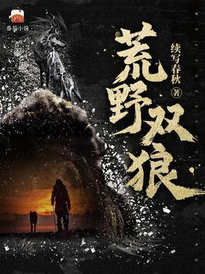 荒野双狼 免费观看