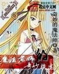 魔法老师全集