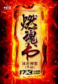 燃魂书暗示什么