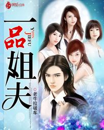 一品姐夫H