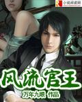风流官王 评论