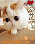 文艺的喵百家