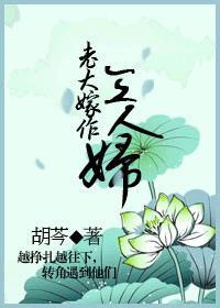 老大嫁作三人妇类似
