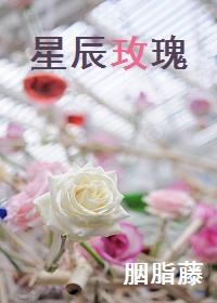 星辰玫瑰项链的寓意和象征