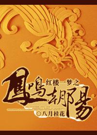 红楼一梦之凤鸣朝阳盘