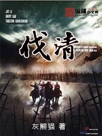 伐清从太子到流寇