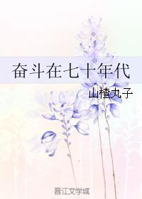 奋斗在70年代