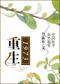 重生1973叶湾湾