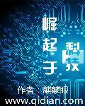崛起科技巨头