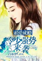 冷少掠爱