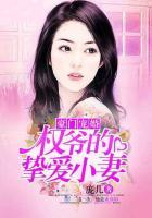 豪门暖婚权爷宠妻免费阅读