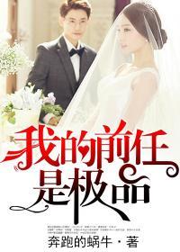 我的前任是极品短剧免费观看