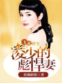 飞来横宠爷的警花老婆书包网