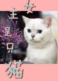 女主是一只猫的现代