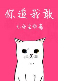 你追我敢代表什么生肖