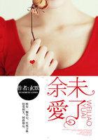 余爱未了txt百度链接