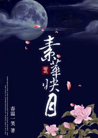 素华映月笔趣阁