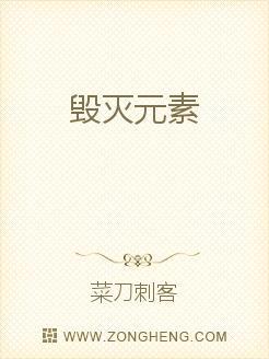 元素毁灭力量修改版