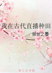 我在古代直播带货作者洛湛