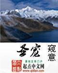 圣宠(女尊)最后的大魔王