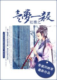 红楼之一梦一杀txt