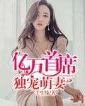亿万首席独宠萌妻免费阅读