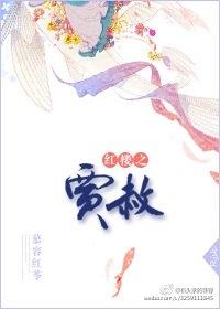 红楼之贾赦的烦恼