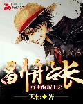 重生海贼王之副船长无删减