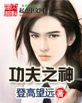 功夫之神漫画