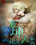 掌乾坤大结局是第几集