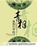 青柑普洱茶
