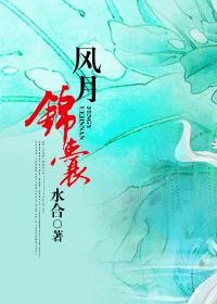风月锦囊2025电视剧免费观看