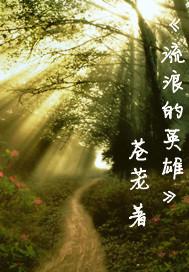 流浪是哪个英雄